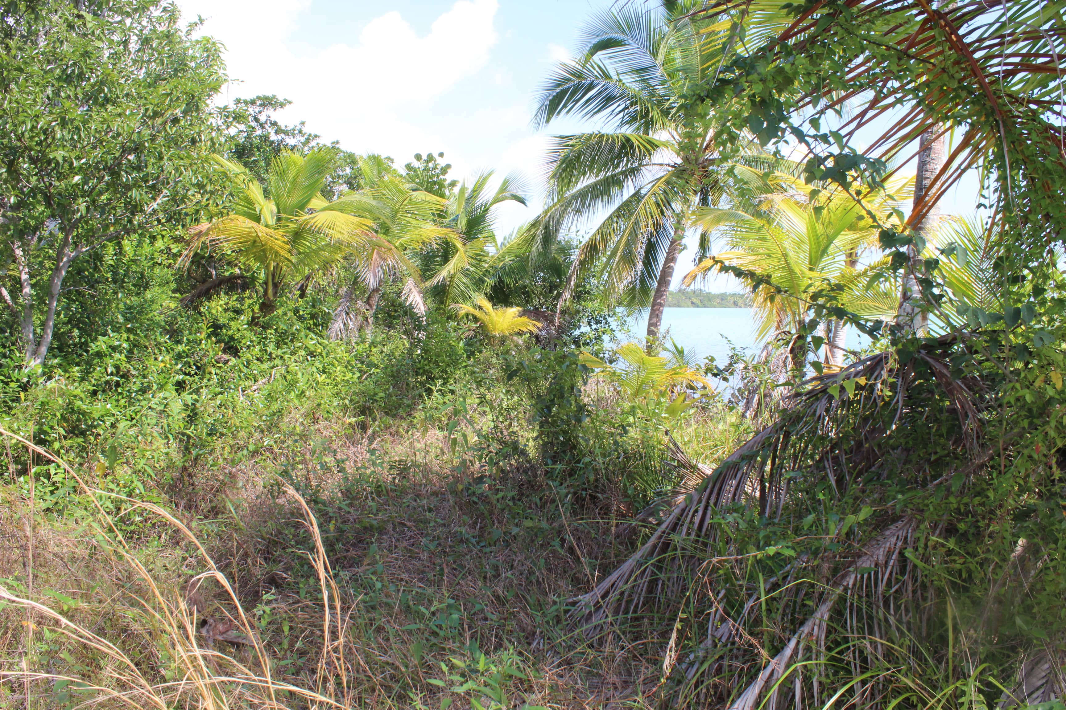 5 Acres lots in Punta Ycacos — Punta Negra, Belize