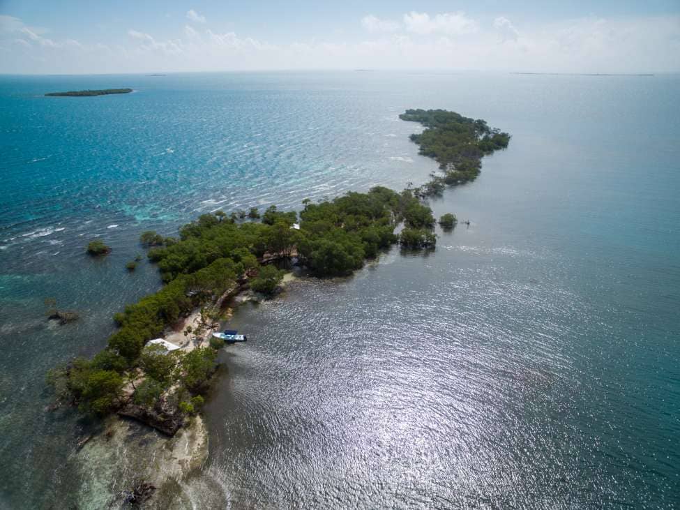 Southern Belize Jewel – South Saddle Caye — Placencia, Belize
