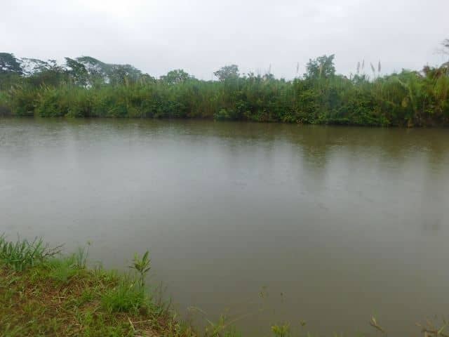 70 Acres + River – Stann Creek District, Belize. — Mullins River, Belize