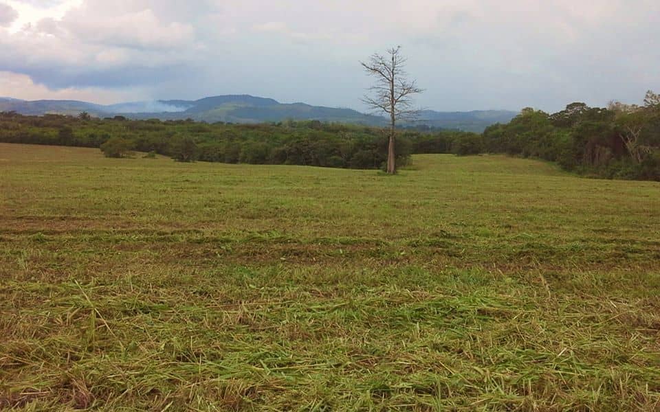 One Acre Residential Lots – San Ignacio, Cayo District — Cayo, Belize