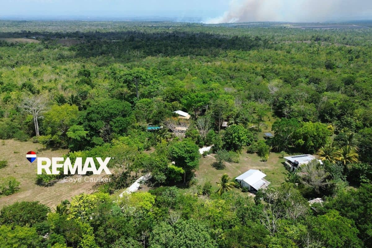90-Acre Belize Jungle Estate Near Spanish Lookout — Valley of Peace, Belize