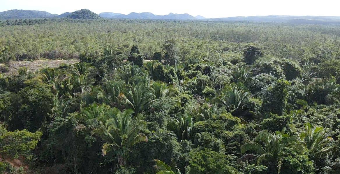 2000 Acres of Fertile Land & Rolling Hills — Mullins, Belize
