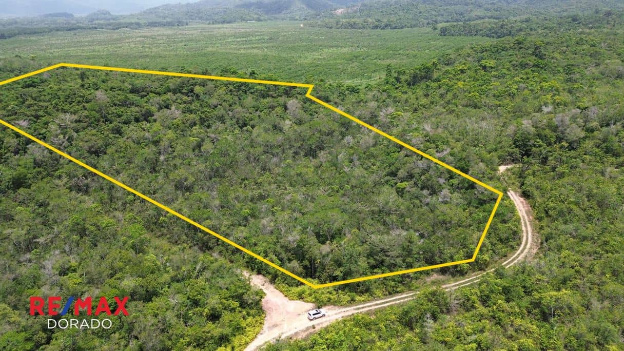 Prime 19.16-Acre Property for Sale: Perfect for Farming or Eco-Tourism Ventures — Stann Creek, Belize