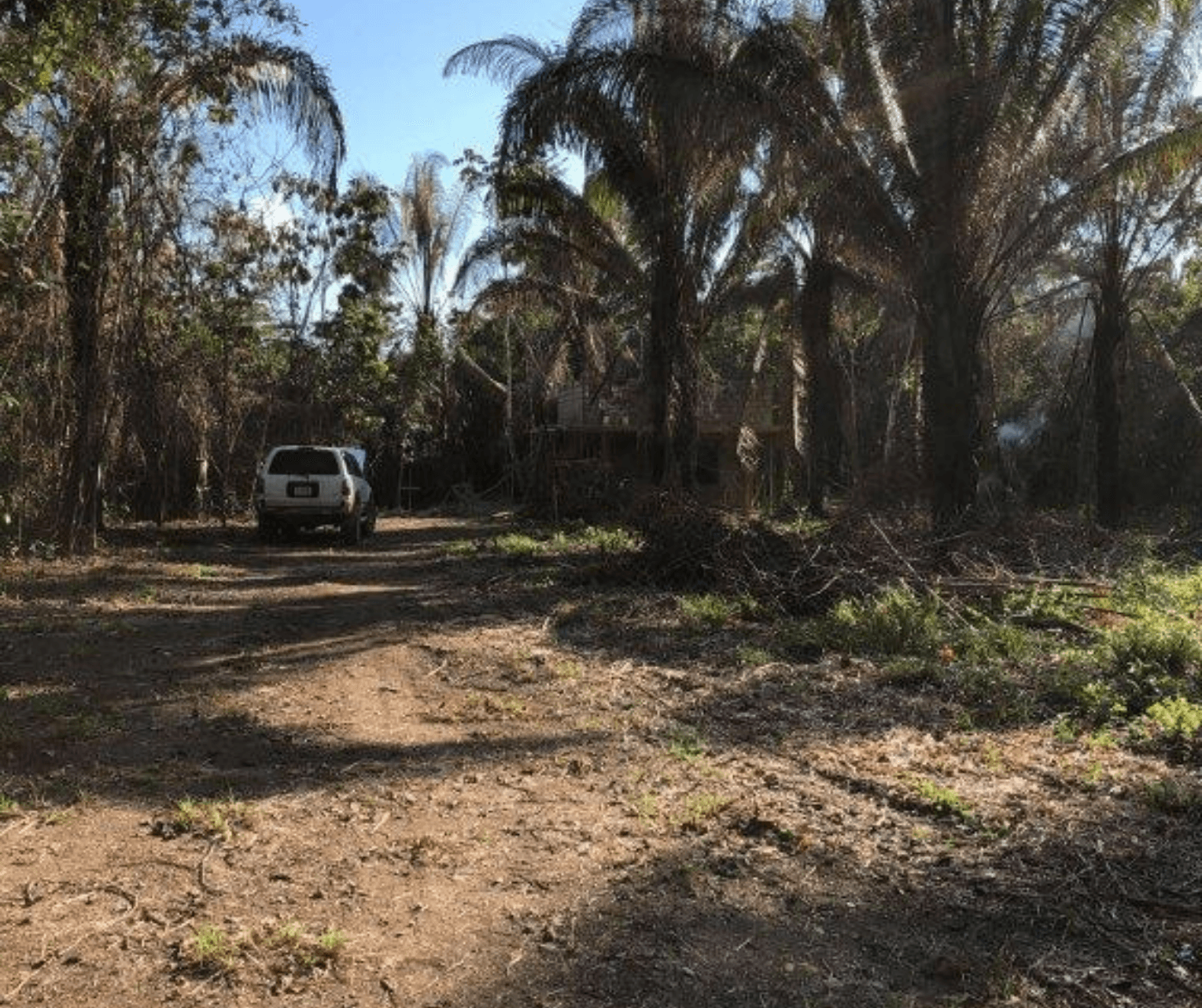 Prime Jungle lot For Sale in Belize — photo 1 of 8