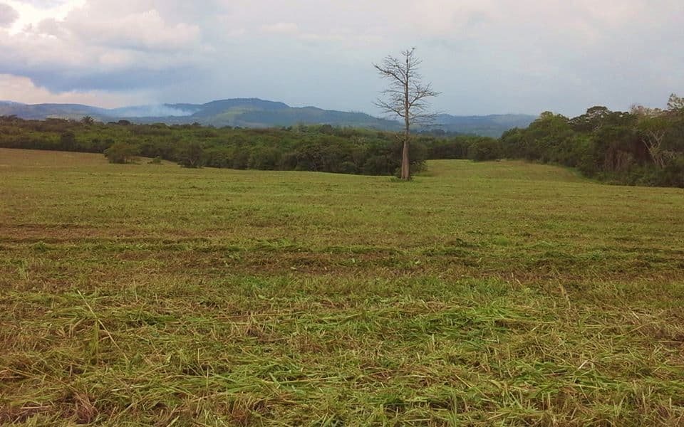 One Acre Residential Lots – San Ignacio, Cayo District — photo 1 of 6
