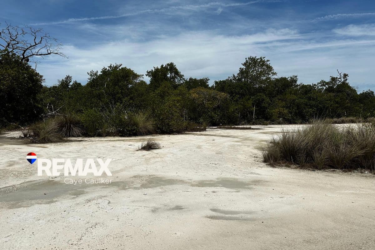 South Point Parcel – Cleared, Filled, Ready to Build — photo 1 of 7