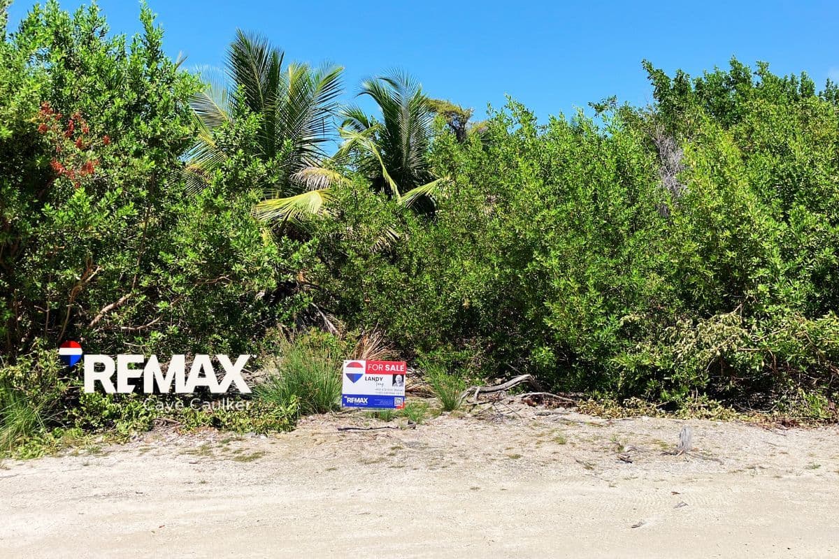 Prime North Caye Caulker Lot – High, Dry, and Ready for Development — photo 1 of 8