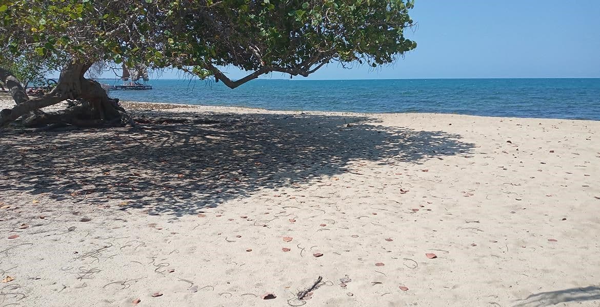7 Acre Beachfront Development Parcel in Prime Location — photo 1 of 5