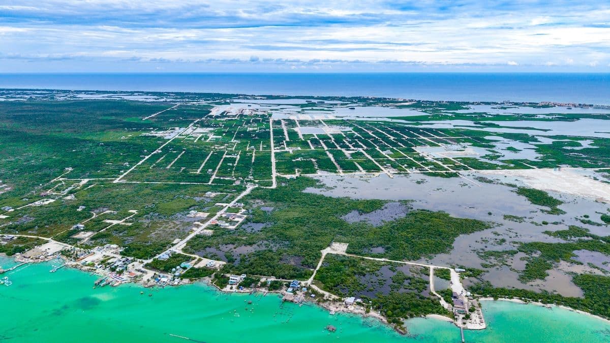 Own Land Near Secret Beach for Just $50,000 — photo 1 of 14