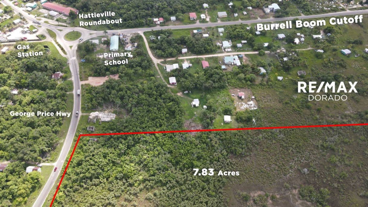 7.83 Acre Property on George Price Highway! — photo 1 of 7