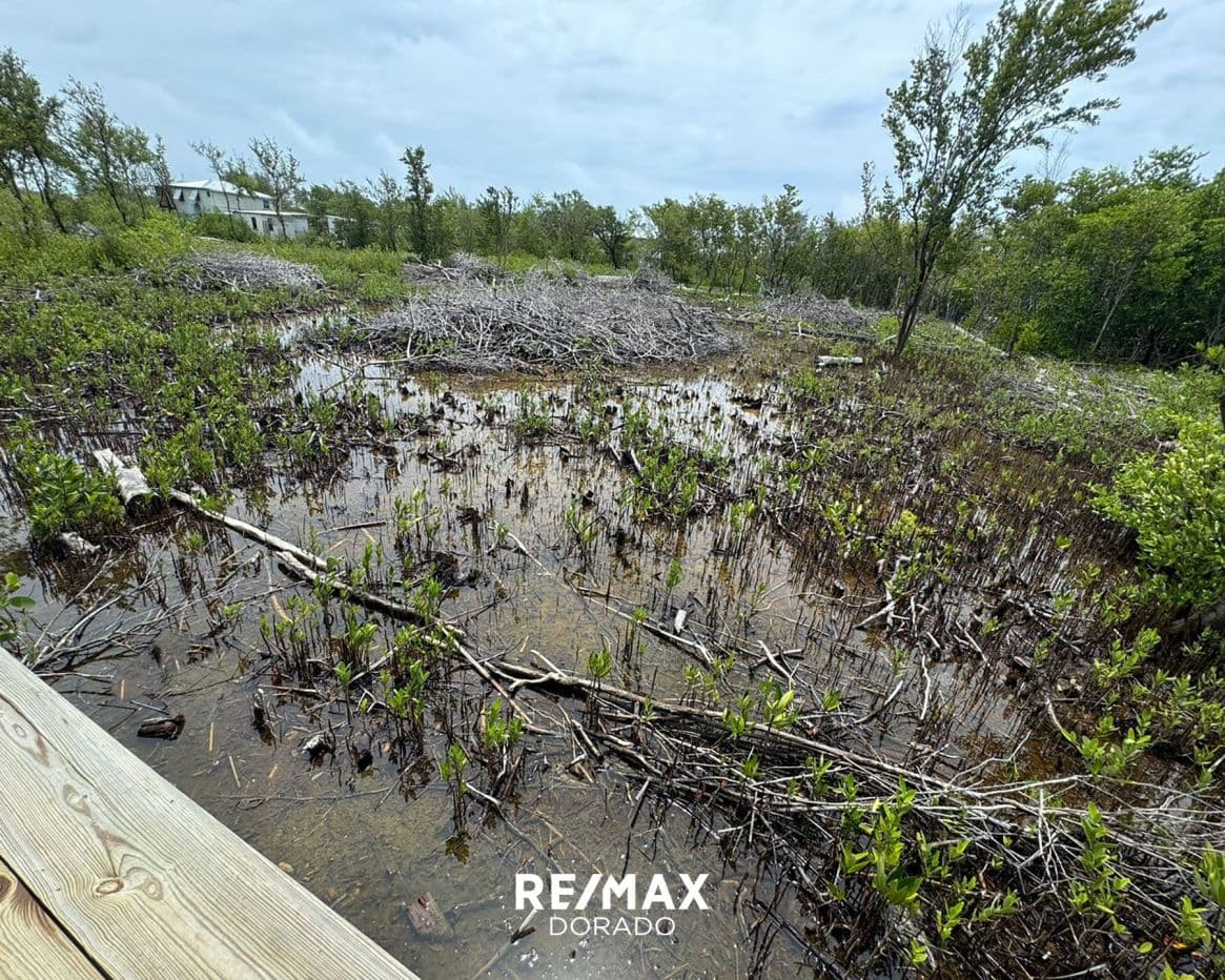 Vacant slice of Caye Caulker Paradise — photo 1 of 5