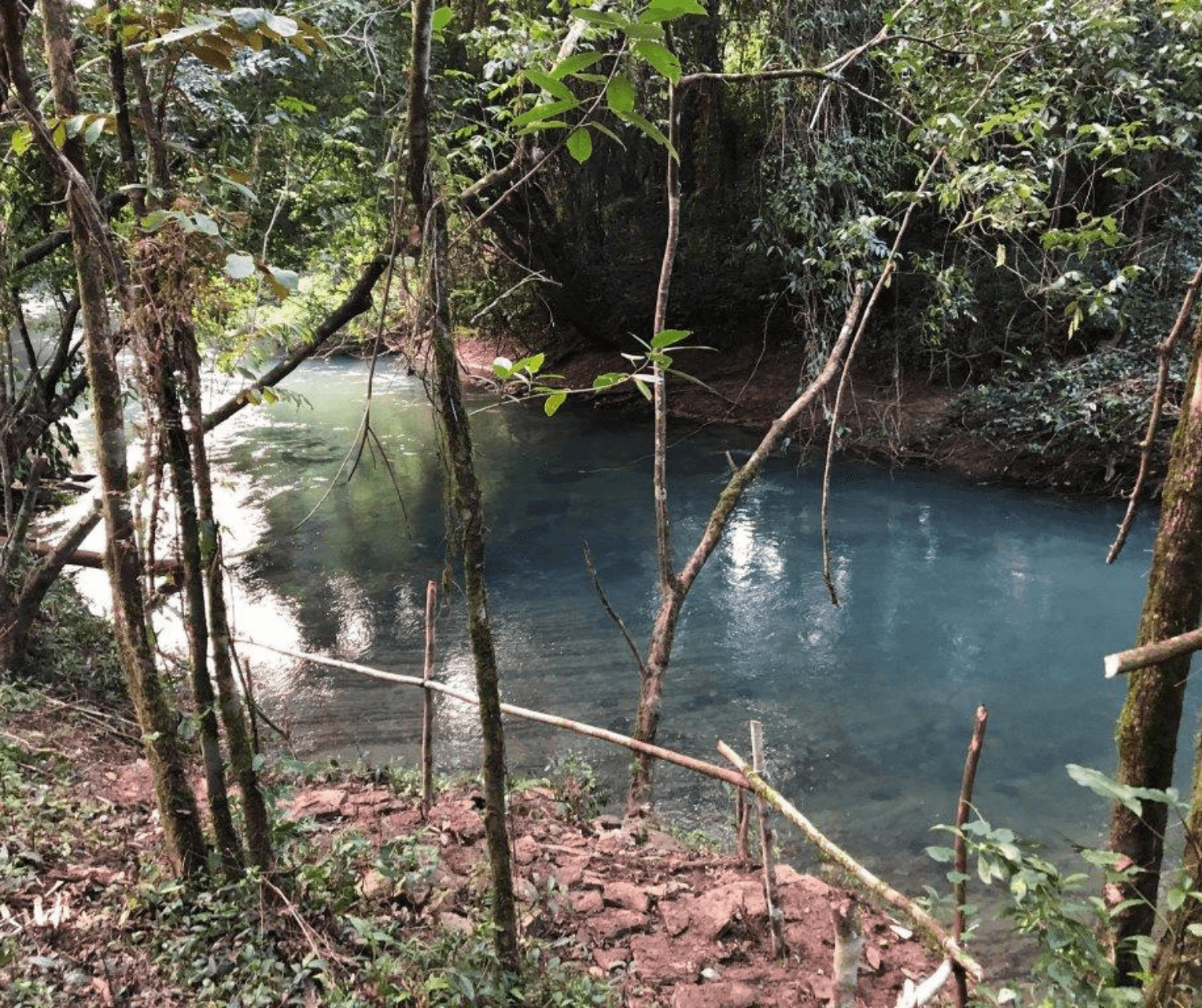 Riverfront Property in Belize With Endless Potential! — Medina Bank, Belize