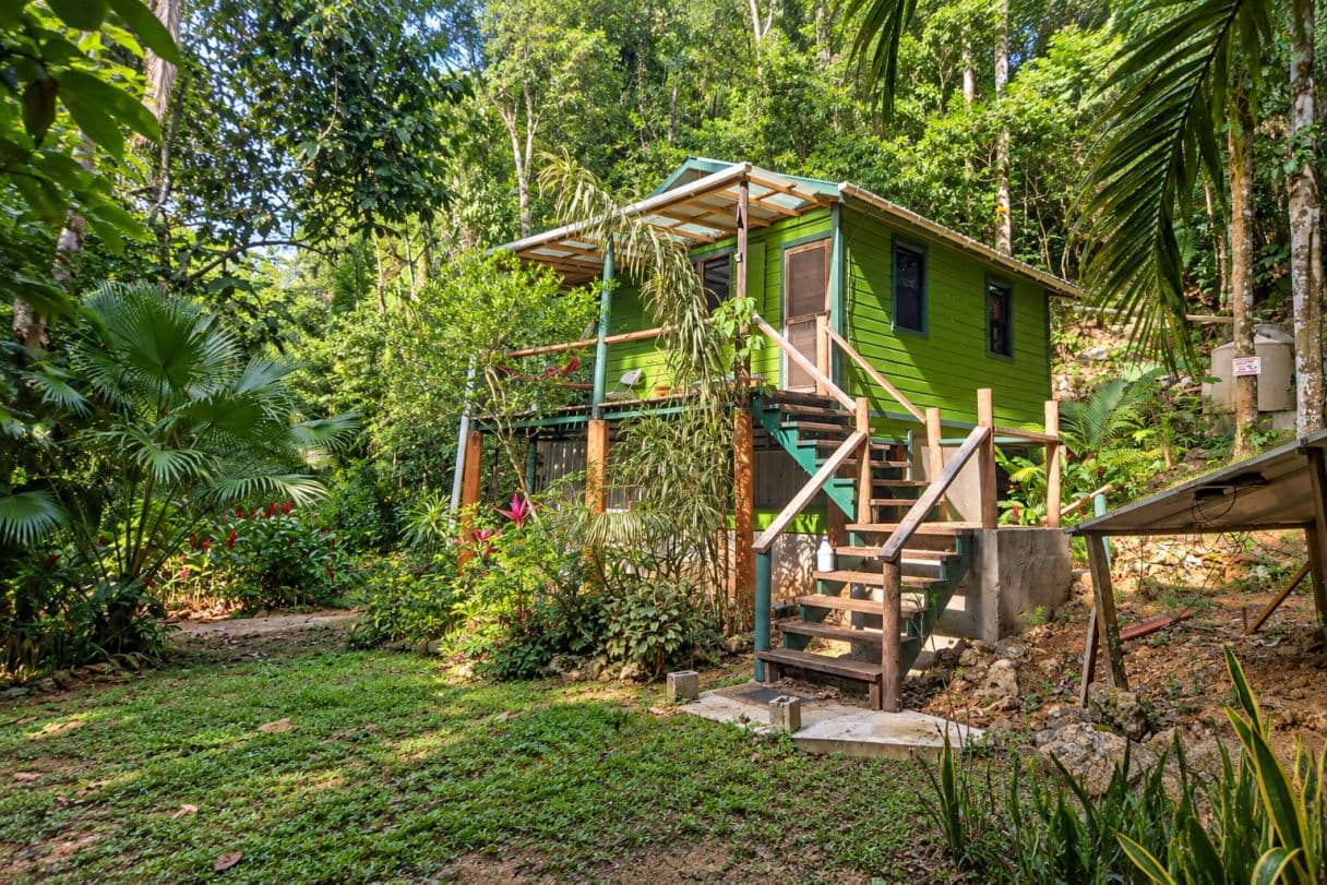 Off-Grid Jungle Retreat, Lot #4 Water Hole Area, Cayo District — photo 1 of 18