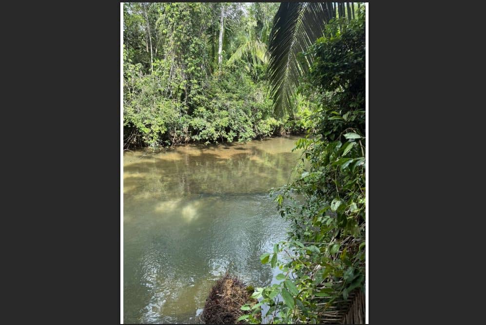 Off-Grid Creekside Jungle Lot 1 – 2.91 Acres on Indian Creek near Darknight Cave Tubing, Caves Branch, Cayo District — Caves Branch, Belize