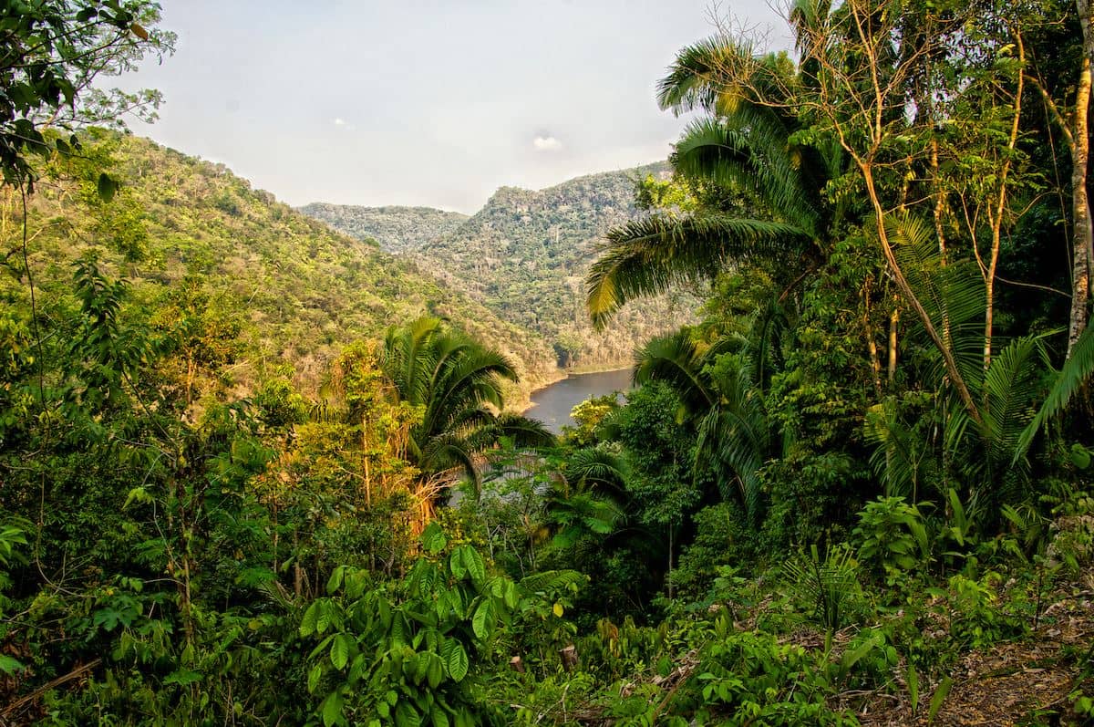 0.61-Acre Rainforest Lot 71 – Better In Belize Eco-Community, Water Hole, Cayo — Benque Viejo del Carmen, Belize