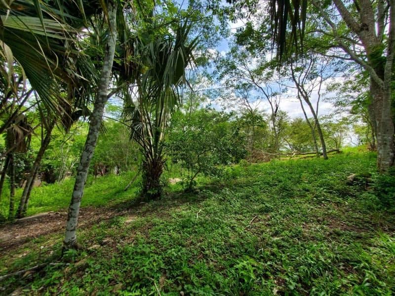 Hilltop Property 2.98 Acres of Land – Succotz Village, Cayo District, Belize — San Jose Succotz, Belize