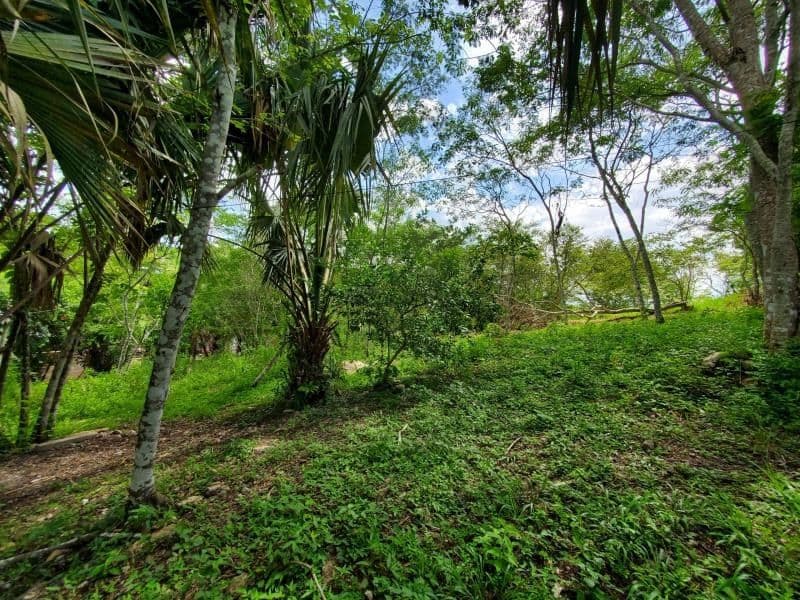 Hilltop Property 2.98 Acres of Land – Succotz Village, Cayo District, Belize — photo 1 of 6