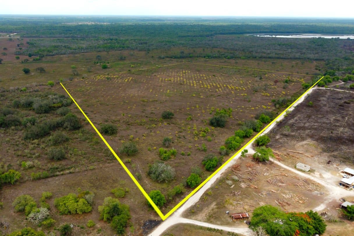 Listing 3001 – 46.5 Acres of High & Fertile Farmland | Carmelita, Orange Walk District — Carmelita, Belize