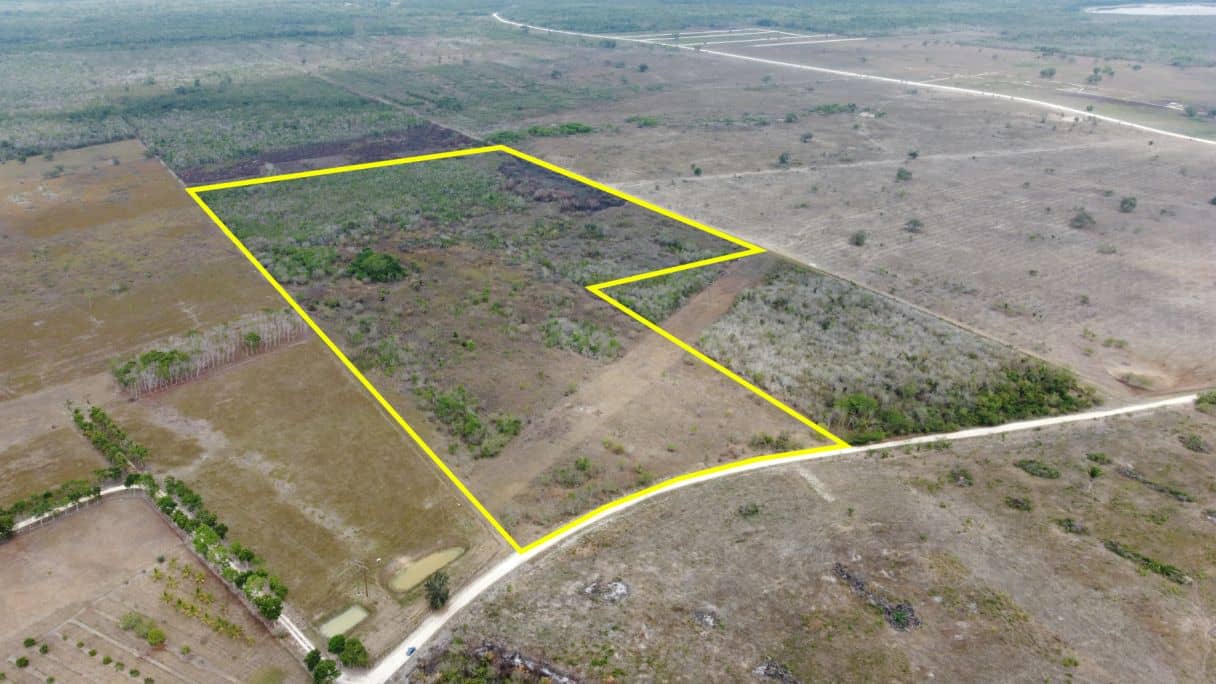 Listing 3002 – 50 Acres with Road Frontage | 15 Minutes to Orange Walk Town — Carmelita, Belize