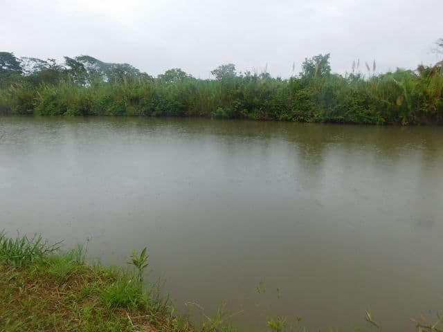 70 Acres + River – Stann Creek District, Belize. — photo 1 of 6