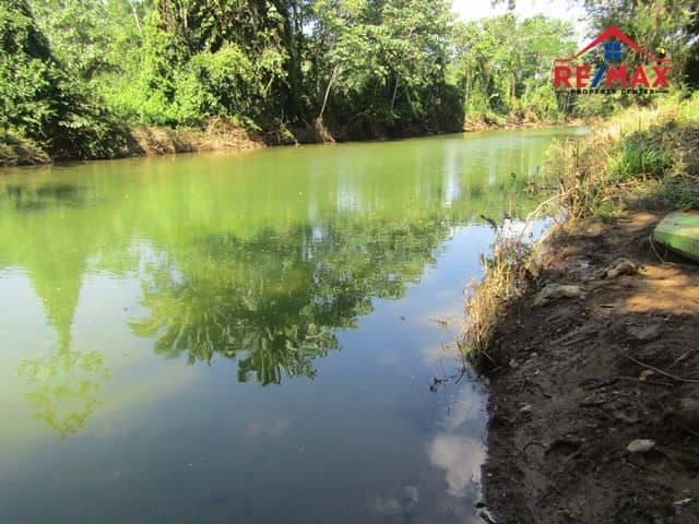 Eight Parcels of Vacant Rainforest Land Near Belmopan, Belize. — Teakettle, Belize