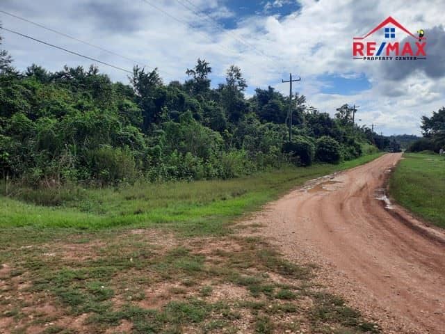 A Large One Acre Lot Near San Ignacio, Cayo District — unitedville, Belize