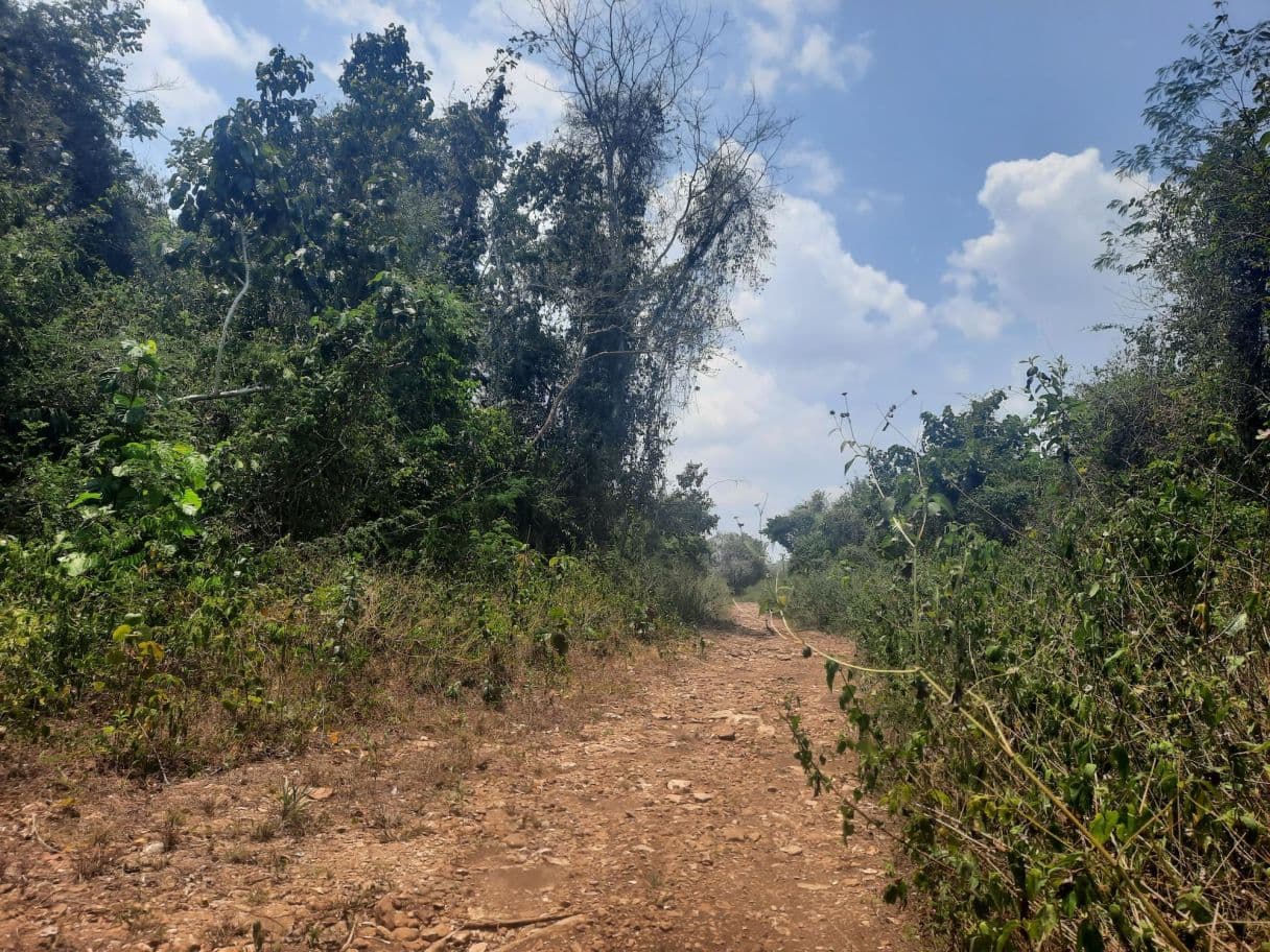10 Acres of Land Near San Antonio Village, Cayo District. — photo 1 of 5