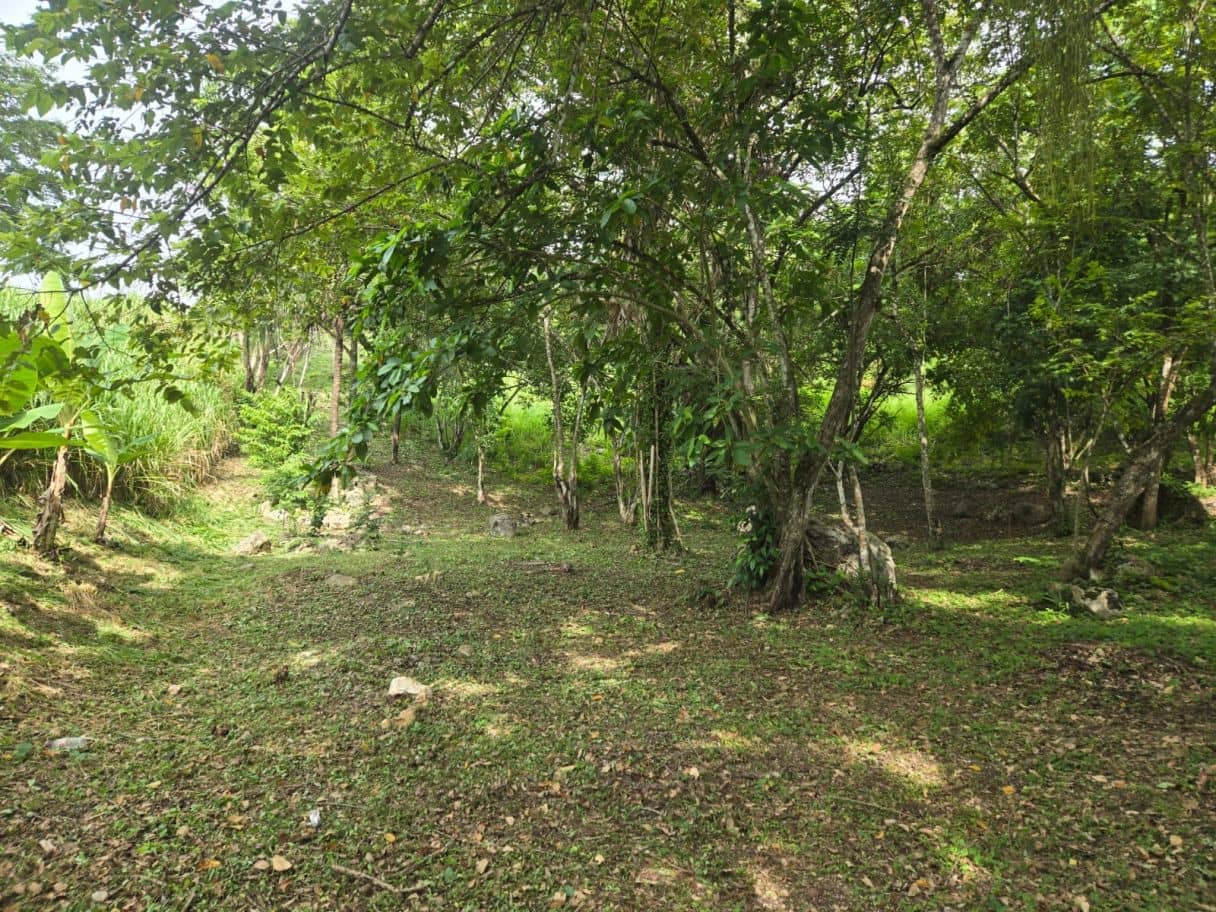Own Your Piece of Belize – O.72 Acres For 50K USD — Roaring Creek, Belize