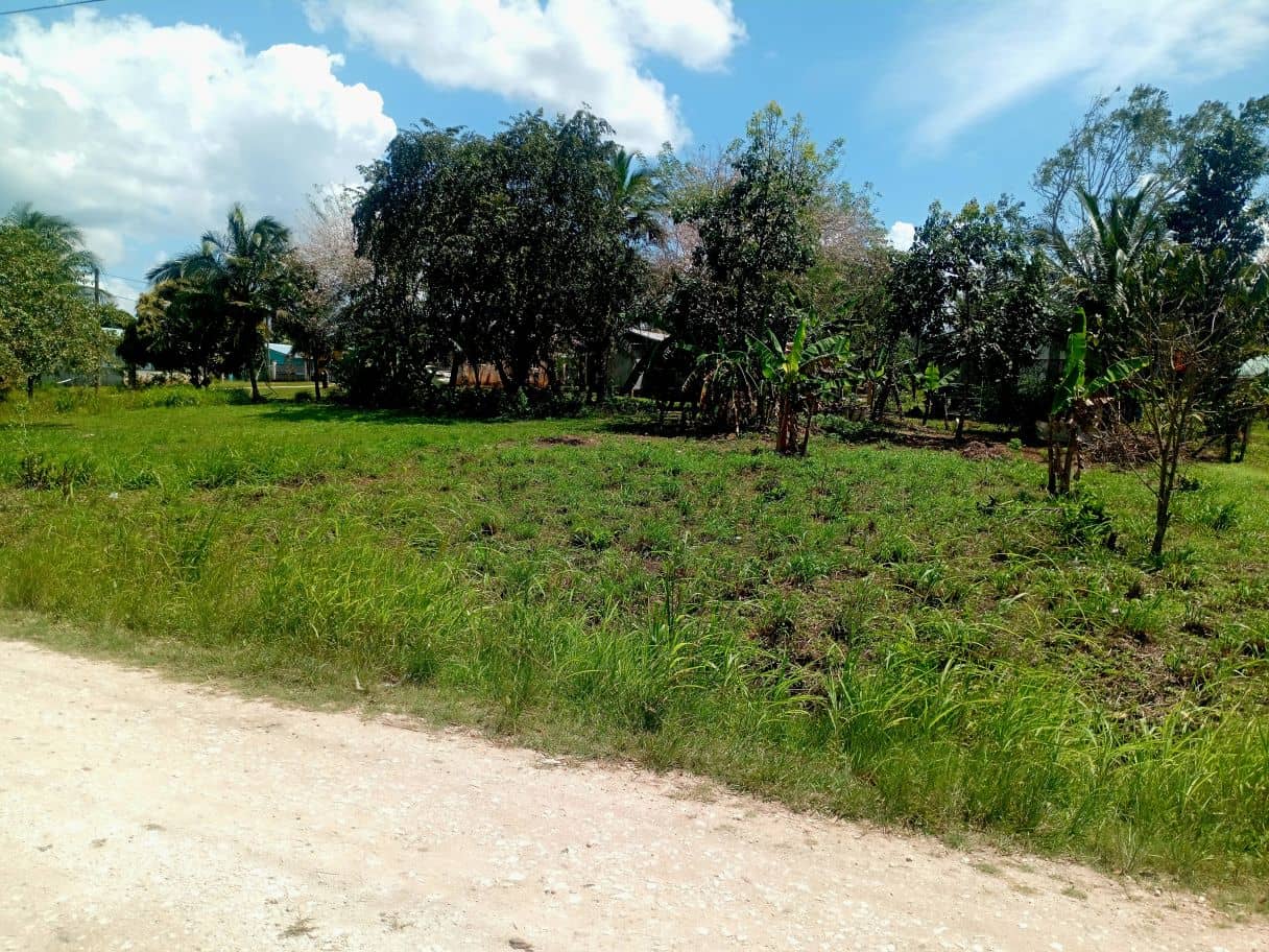 Residential lot in the peaceful village of Esperanza. Just 10 mins from San Ignacio. — Esperanza, Belize