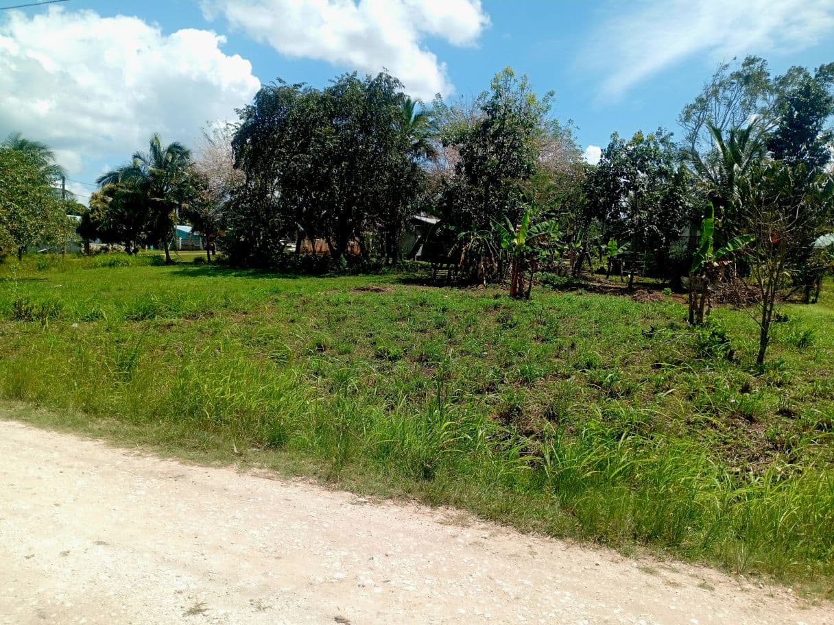 Residential lot in the peaceful village of Esperanza. Just 10 mins from San Ignacio. — photo 1 of 6