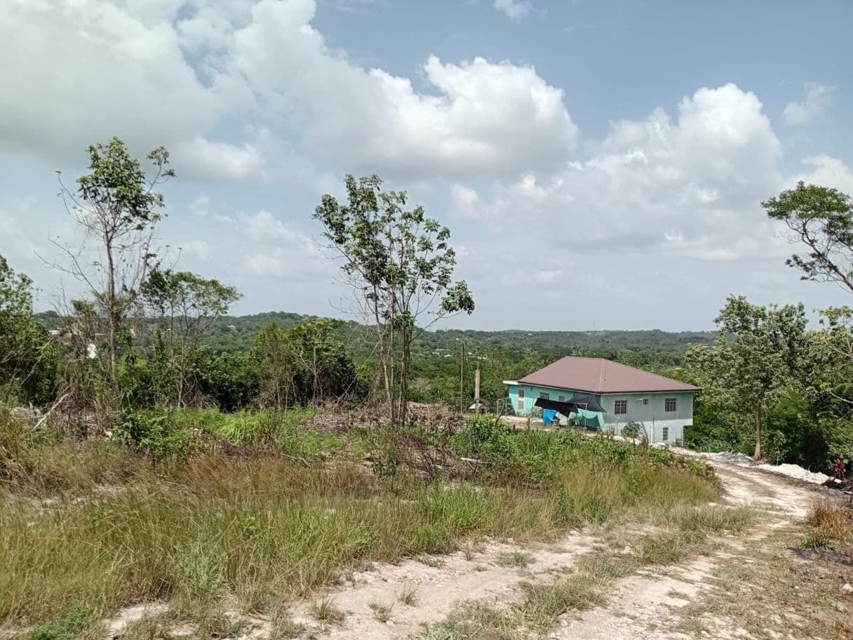 PRIME DEVELOPMENT OPPORTUNITY: Two Hilltop Lots in San Ignacio with Mountain Views — photo 1 of 7