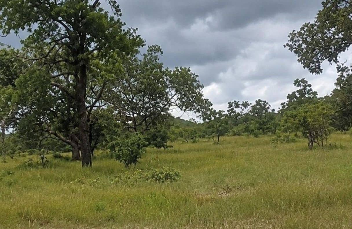 200 Acres of Prime Country Land — Bermudian Landing, Belize