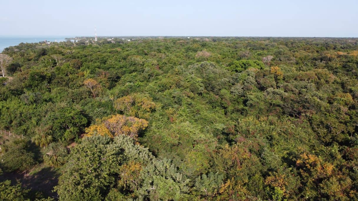 PRIME DEVELOPMENT OPPORTUNITY: 14.92 Acres at the Gateway to Sarteneja — Sarteneja, Belize