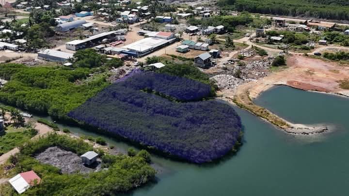 Lagoon front parcel/s in Seine Bight — photo 1 of 4