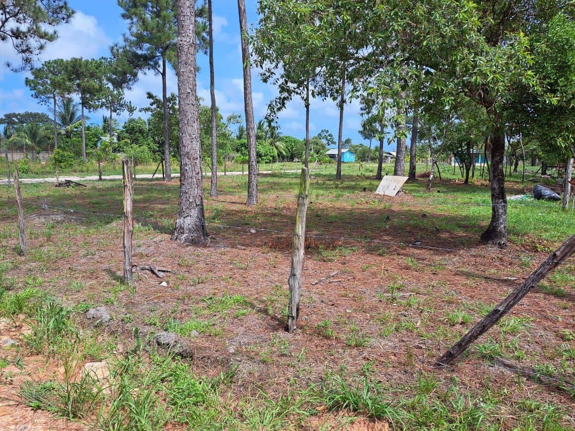 Beautiful corner lot in Santa Cruz Village — Red Bank, Belize