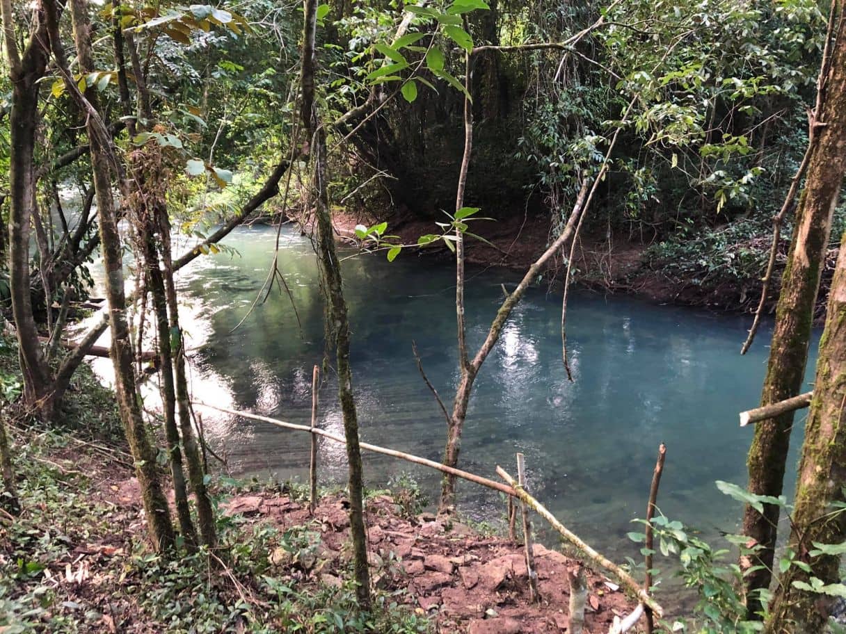 Prime Jungle Lot for Sale — Medina Bank, Belize