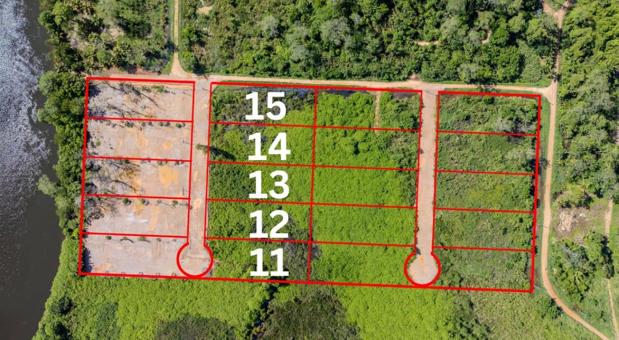 L1014: River Landing River View Lots 11-15 — Hopkins, Belize