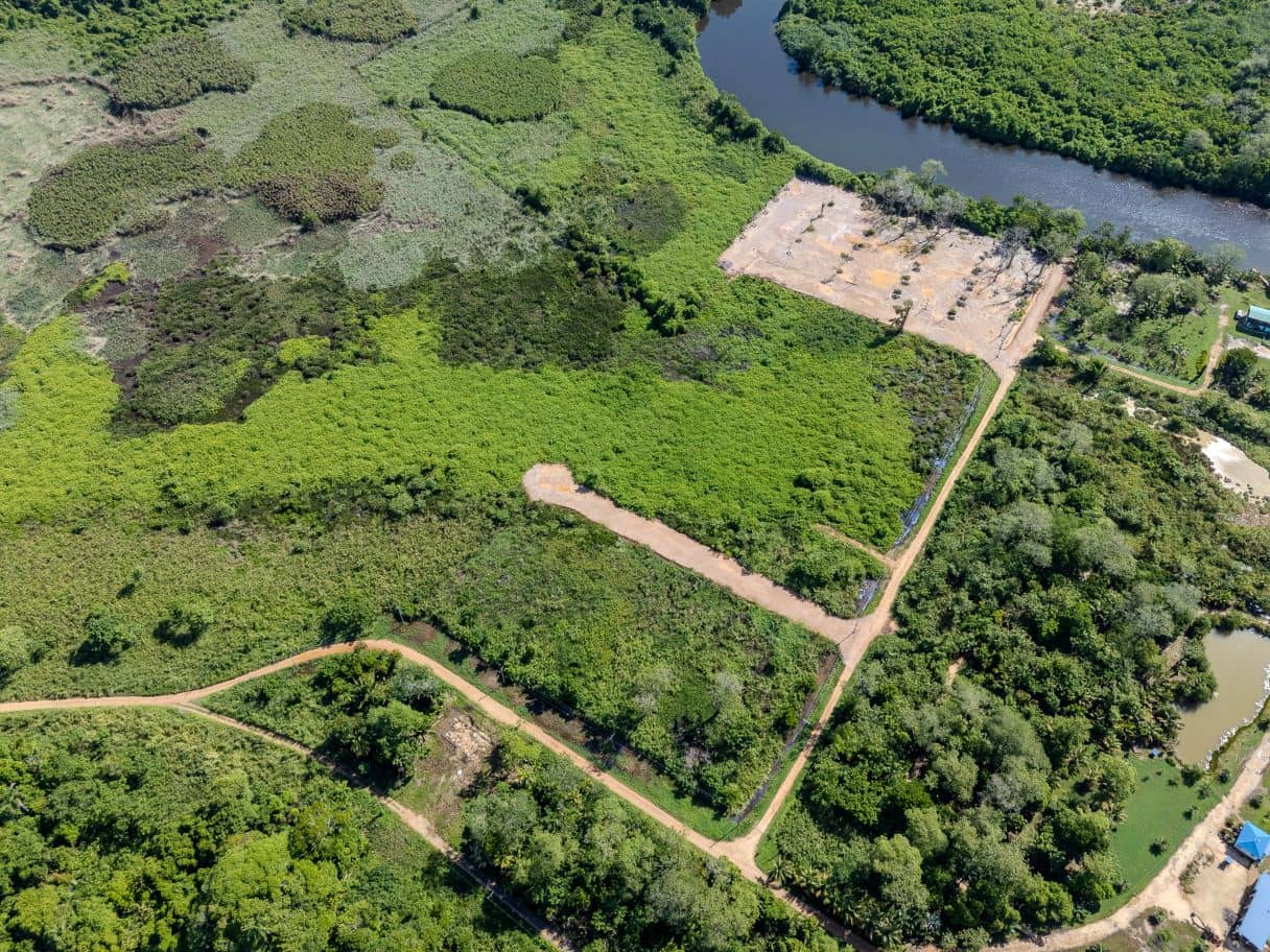 L1012: River Landing Roadside Lots #1-5 — Hopkins, Belize
