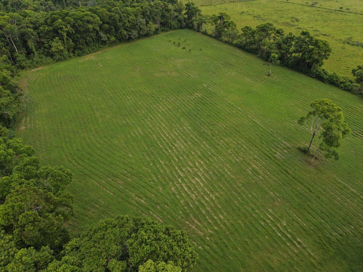 L1029 – 8.5 Acres of Prime Belize Land – Space, Potential & Opportunity Awaits — Hopkins, Belize