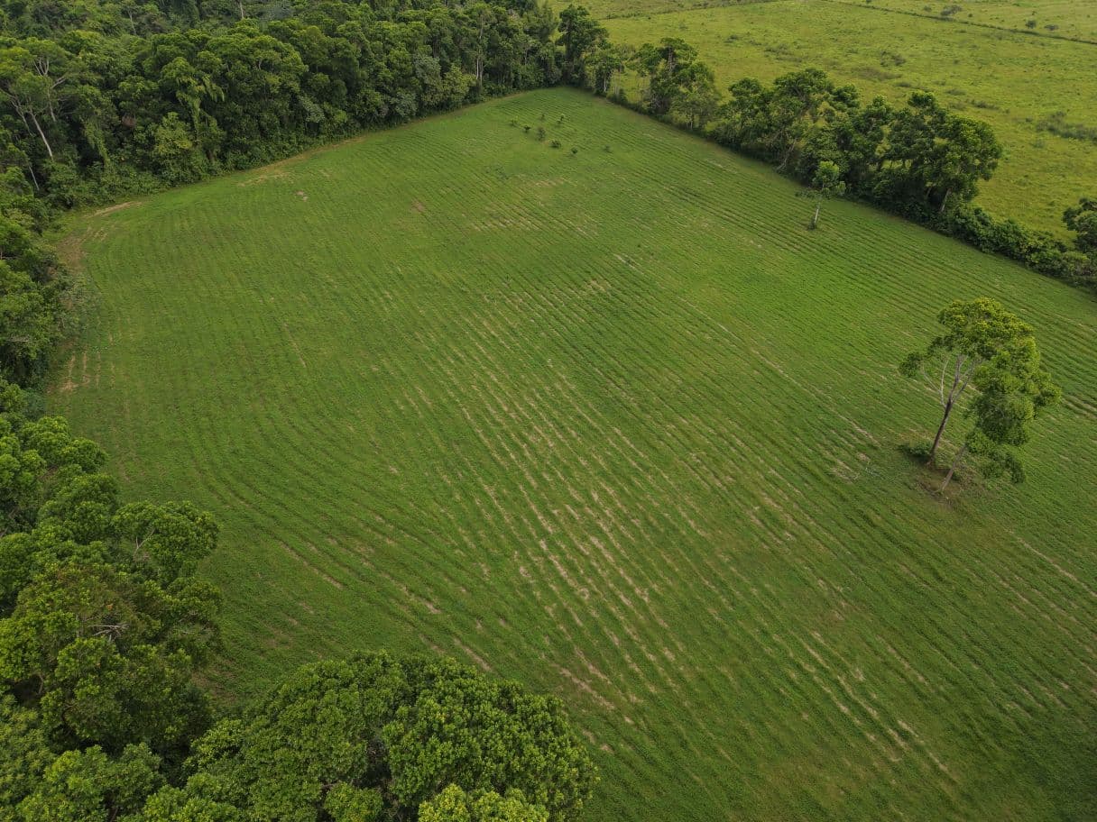 L1029 – 8.5 Acres of Prime Belize Land – Space, Potential & Opportunity Awaits — photo 1 of 6