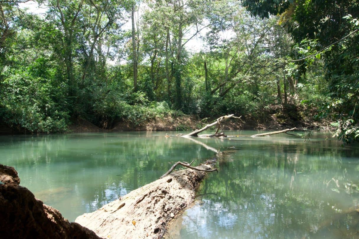 F3022 – 30 Acres | River Front Dream | Big Falls, Toledo District — Big Fall, Belize