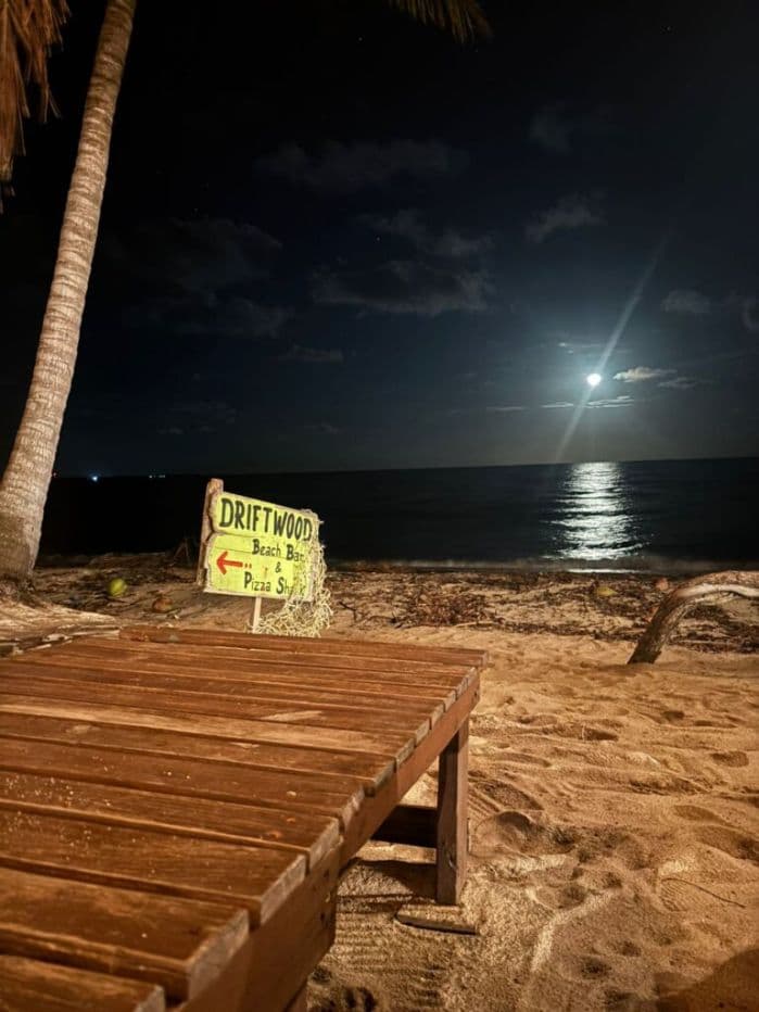 B3008 – Driftwood Beach Bar & Pizza Shack | Hopkins, Stann Creek District — photo 1 of 11
