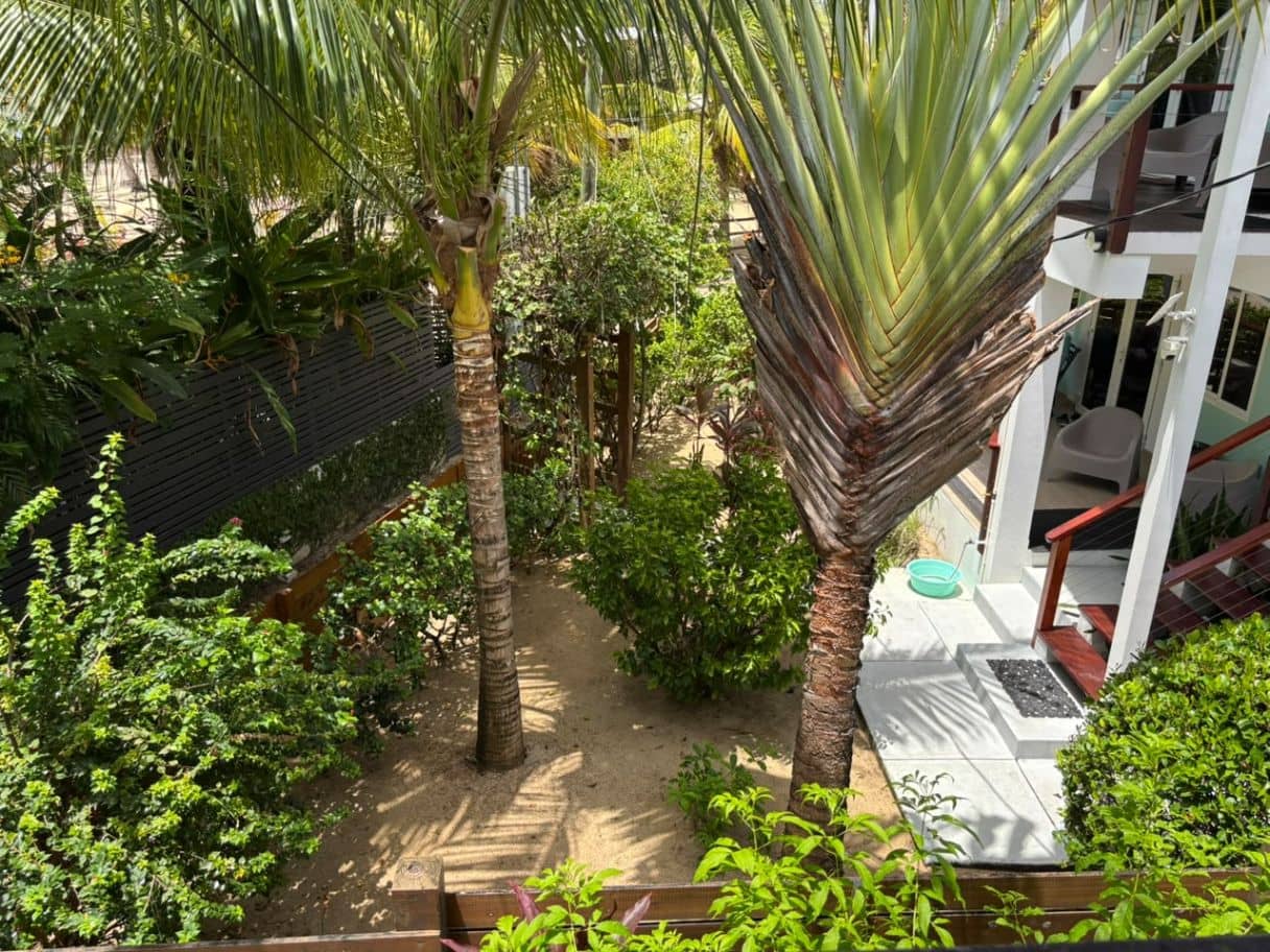 H3025- One Block From Prime Placencia Beach — Placencia, Belize