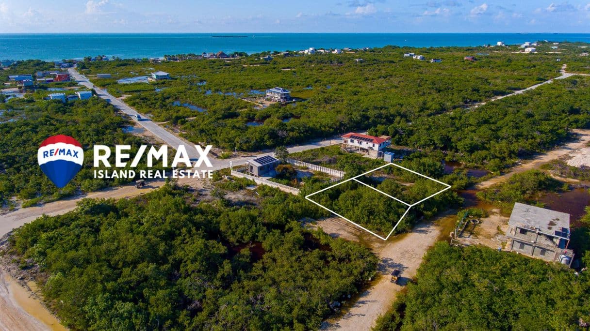 Secret Beach Investment Land for Sale – Two Side-by-Side Parcels Near Main Road, Ambergris Caye — photo 1 of 13