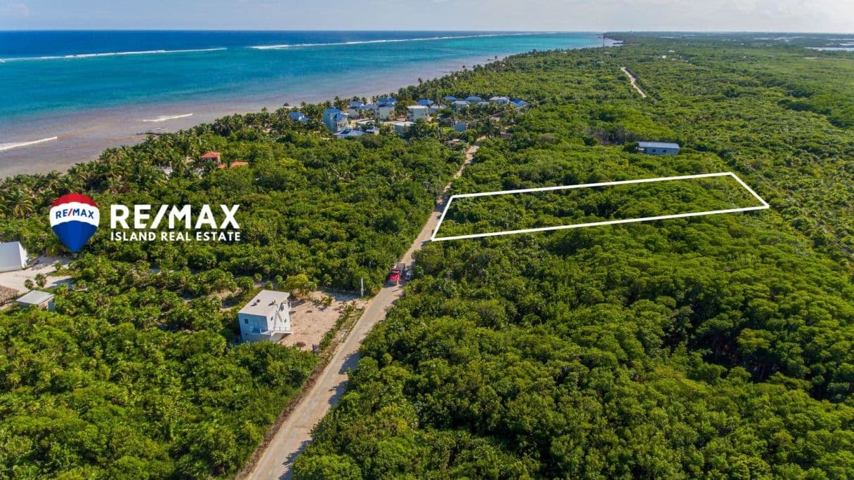 Parcel 8145 – Over Half Acre Second Row Property From Beach Ambergris Caye, — photo 1 of 11