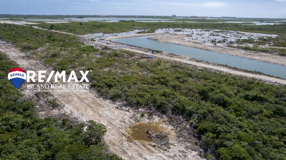 Oversized Lot in the heart of HABITAT BELIZE at Secret Beach — photo 1 of 6