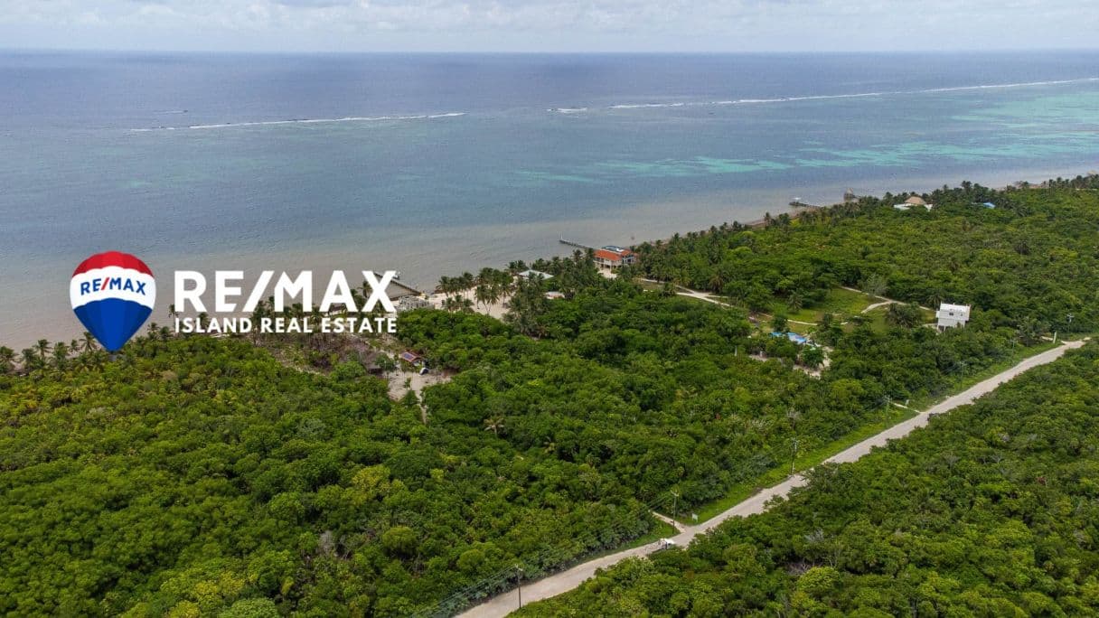 Beachfront Without the Beachfront Price – Parcel 8870 in Palmero Point, Ambergris Caye — photo 1 of 15