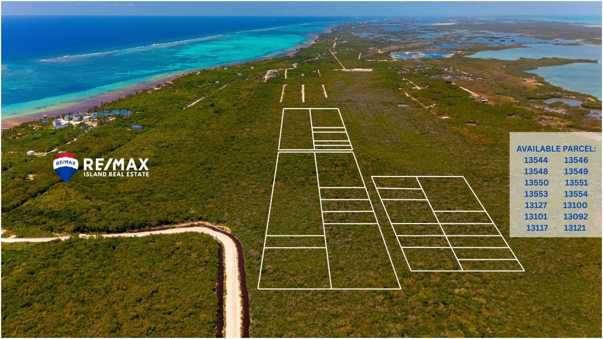 Half-Acre Lots on Ambergris Caye with Owner Financing — photo 1 of 4