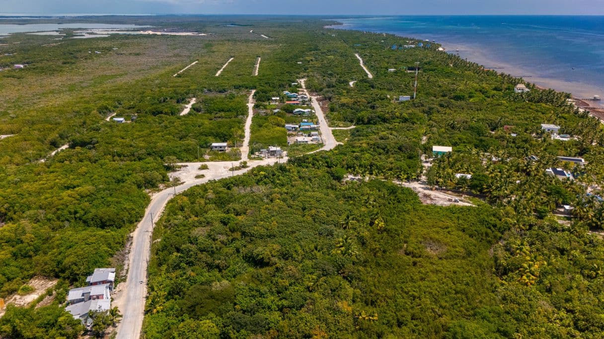 North Ambergris Caye Land Opportunity Mile 7.5 — photo 1 of 14