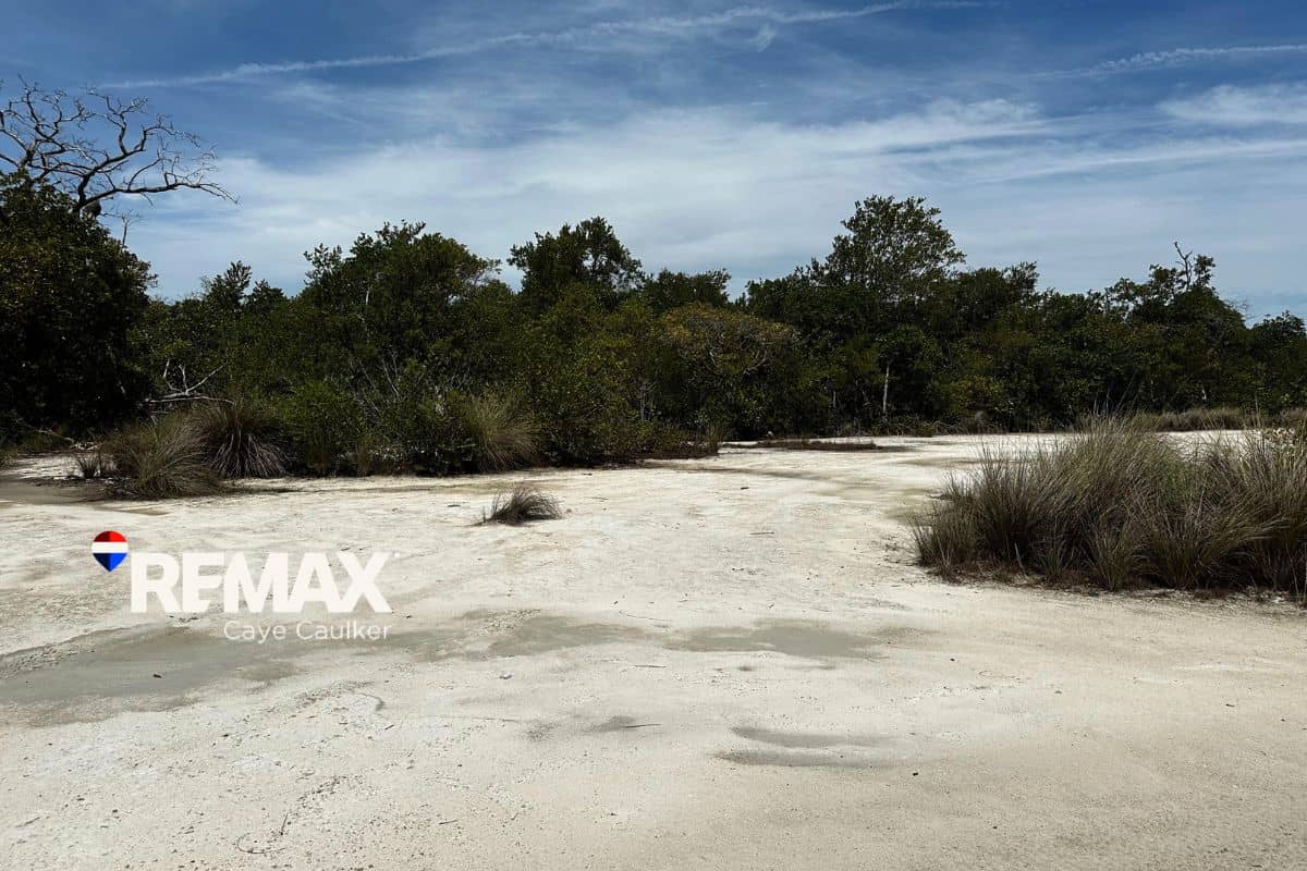 South Point Parcel – Cleared, Filled, Ready to Build — Caye Caulker, Belize
